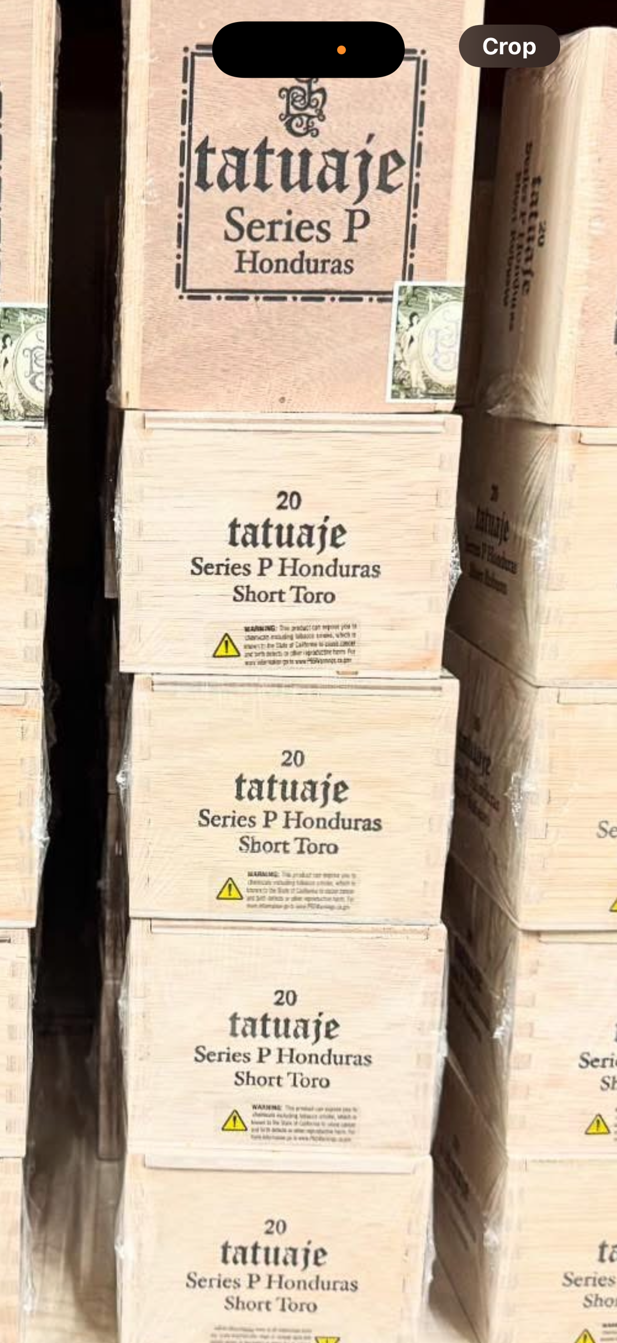 Tatuaje SERIE P HONDURAS SHORT TORO